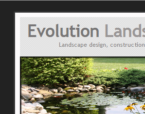 Evolution Landscapes Website
